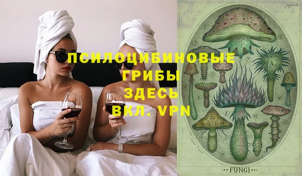 первитин Богородск
