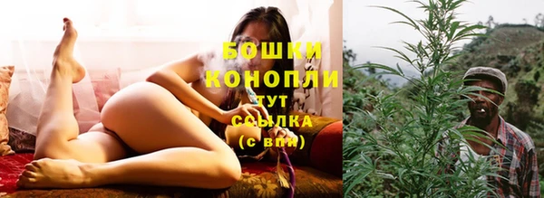 MESCALINE Богданович