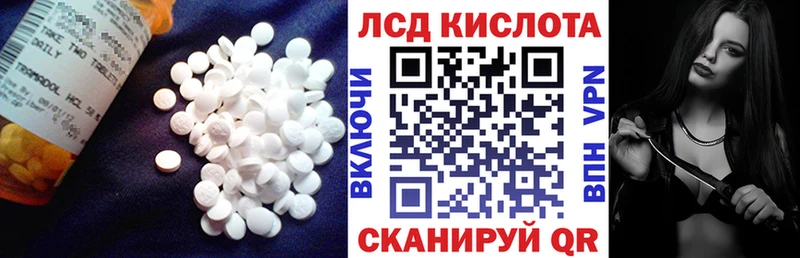 дарнет шоп  Коломна  omg ссылка  Лсд 25 экстази кислота 